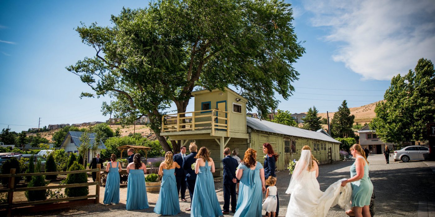Wedding Photo at Lavender Ridge by Ezell Images