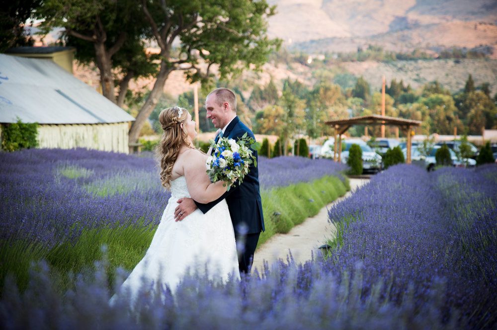 lavender-ridge-photography-wedding